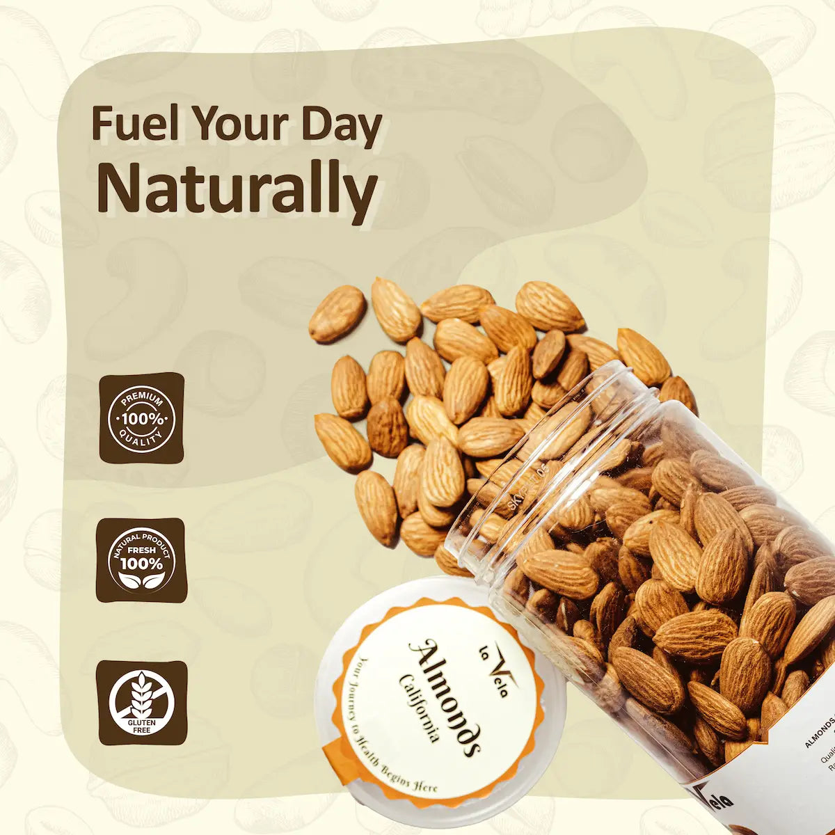 Almonds-Nuts-California-Carmel-Independence-Sweet-Mamra-Dry-Fruits-Whole-Seeds-Beans-Rosaceae-Prunus-Amygdalus