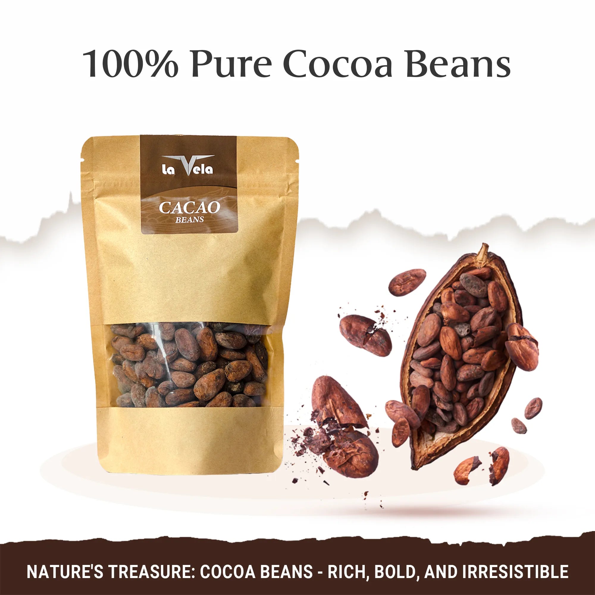 Cacao-Beans-Whole-Raw-Cocoa-Bean-Seeds-Chocolate-Beans-Forastero-Theobroma-African