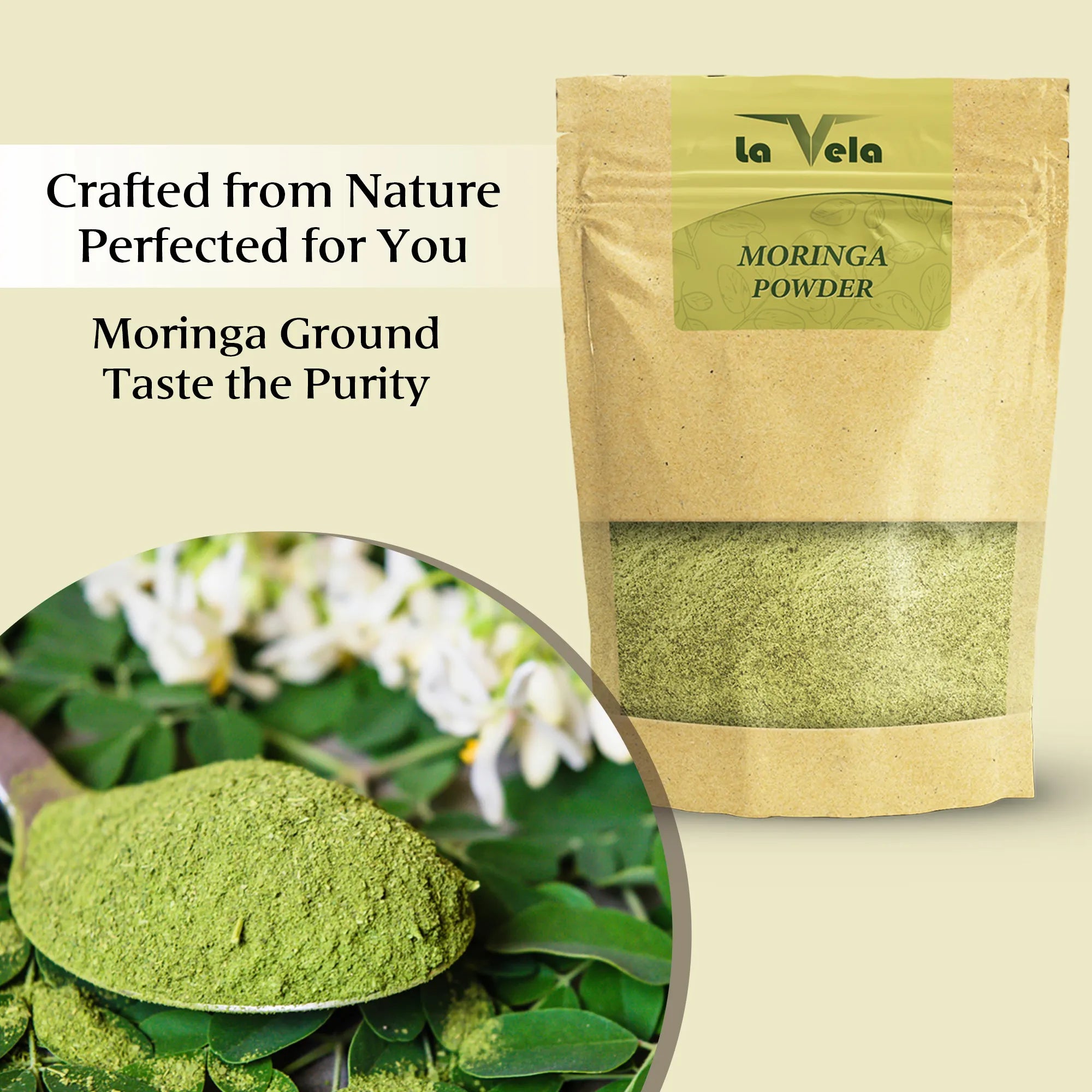 Moringa-Ground-Dried-Fine-Powder-Oleifera-Drumstick